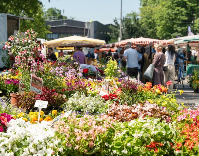 Höchst weekly market