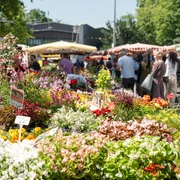 Wochenmarkt Höchst