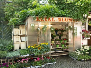 Sachsenhausen weekly market