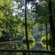 1Teich_An den Teichen Teich_An den Teichen