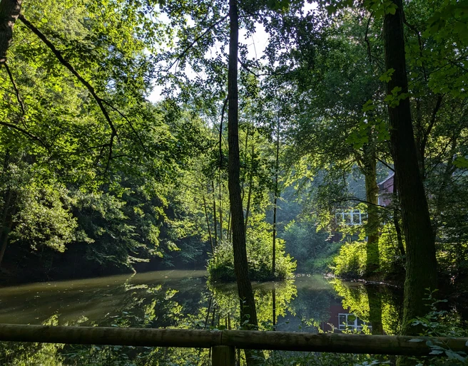 1Teich_An den Teichen Teich_An den Teichen