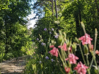 1Altendorfer Berg, Wanderkonzept, Fotos, Route