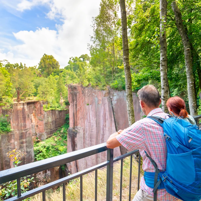 Aussicht Rochlitzer Berg