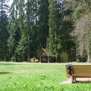 Die Goldene-Kugel-Hütte an der Waldliegewiese
