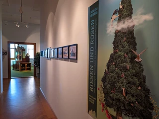 Schloss Heidegg, Ausstellung Riesen und Rosen.