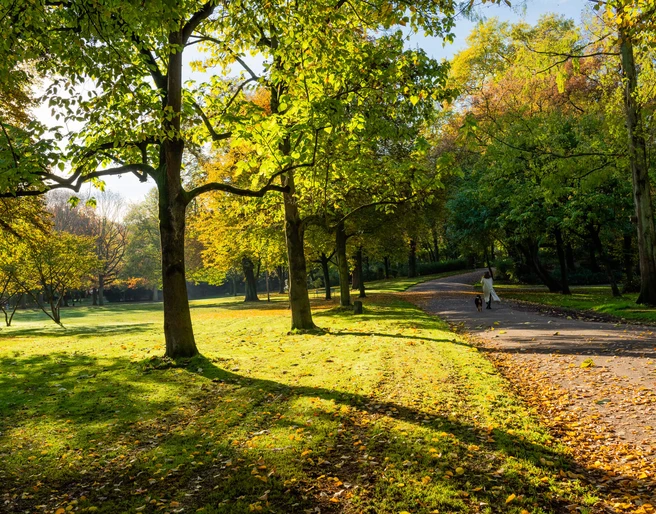 Ein Park mit sonnendurchfluteten Wegen, umgeben von herbstlich gefärbtem Laub und grünen Wiesen.A park with sun-drenched paths, surrounded by autumn-colored foliage and green meadows.