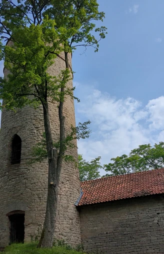 Burg Grubenhagen (1).jpg