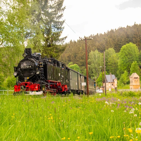 Dampffahrten in den Frühling bei der Preßnitztalbahn