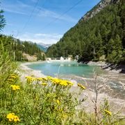 Stausee Zwischbergen