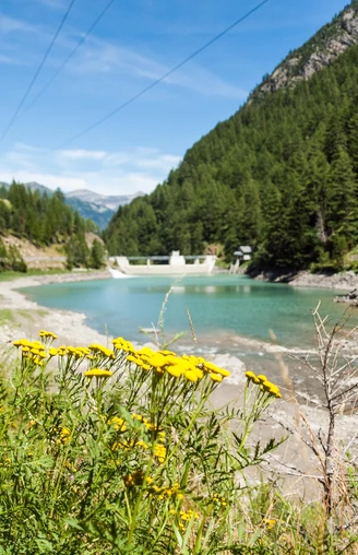 Stausee Zwischbergen