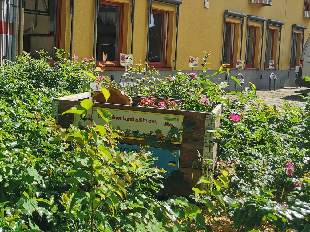 FIPS Peine - Offene Pforte Landkreis Peine