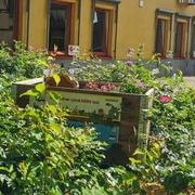 FIPS Peine - Offene Pforte Landkreis Peine