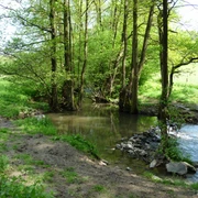 Deilbachtal Eine grüne Flusslandschaft im Deilbachtal bei Hattingen mit fließendem Gewässer und umgebenden Bäumen.