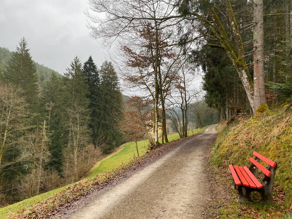 Sitzbank im Reichenbachtal