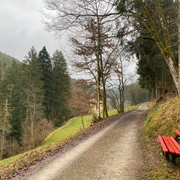 Sitzbank im Reichenbachtal