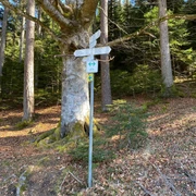 Wegweiser Standort "Alter Wald"