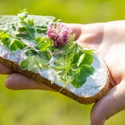 Wanderung "Essbare Wildpflanzen" Hand hält Brot mit Wildpflanzen und frischen Blüten auf heller Aufstrichcreme bei sonnigem Tageslicht.