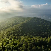 Panoramabild Lage Hörster Egge Teutoburger Wald