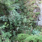 Alte Eisenbahn.JPG Dichter Wald mit üppigem Grün umgibt steile Felswände in einer felsigen Schlucht mit Moosbewuchs.