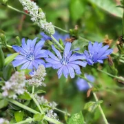 IMG-20241010-WA0002_2.jpg