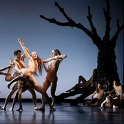 Tanzensemble in expressiver Pose auf Bühne vor karger Baumskulptur.