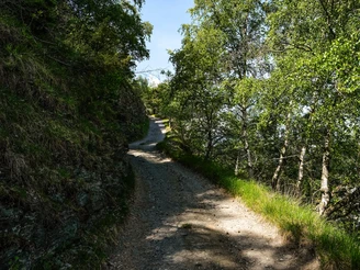 Rohrbergstrasse