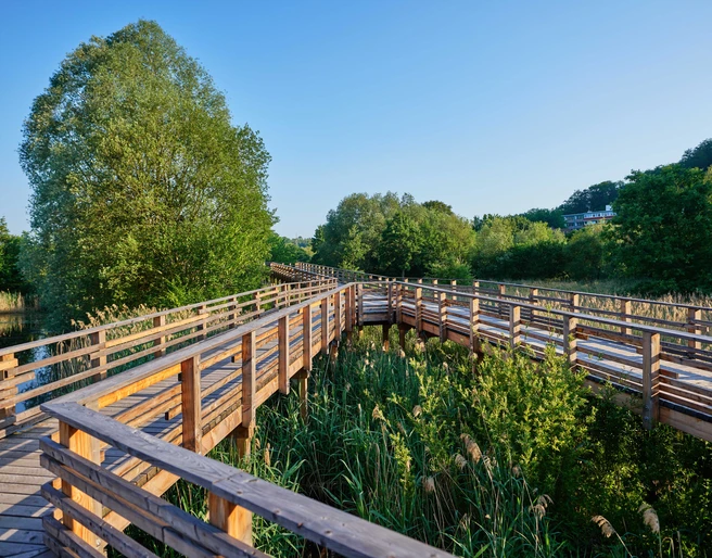 Aue-Park_Holzsteg_Juni_Sommer6_(c)-Marco-Uphaus.jpg