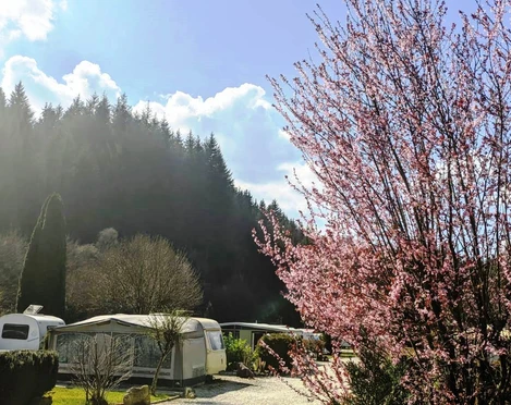 Campingplatz Wisperpark