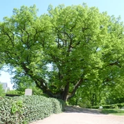 Wohnmobilstellplatz Aarbergen-Michelbach