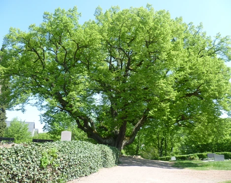 Wohnmobilstellplatz Aarbergen-Michelbach