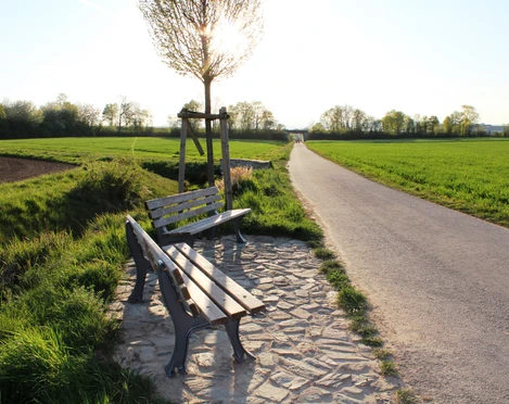 Wohnmobilstellplatz Lindenhof