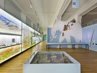 Blick in die Archäologie_MenschenWelten (Mail) (c) Landesmuseum Hannover.jpg