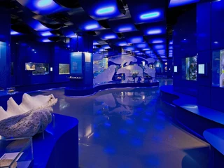 _E8C5544_Blick in die WasserWelten (c) Landesmuseum Hannover_mail.jpg