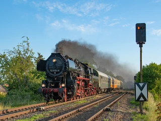 Eisenbahnmuseum Leipzig - Industriekultur in der Region Leipzig Eine Dampfbahn fährt durch sommerliche Landschaft