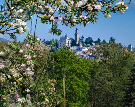 Kronberg - Blick auf Burg
