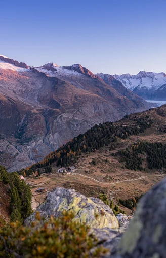Aletsch Arena - Aussicht vom Riederhorn auf den Grossen Aletschgletscher