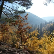 Christianseck im Herbst