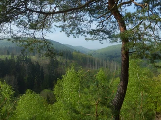 Christianseck im Frühling