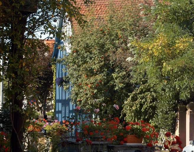 Liederbach am Taunus