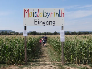 Maislabyrinth Liederbach