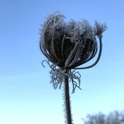 2024-1-Fuehrung-Winter-web-768x419-1