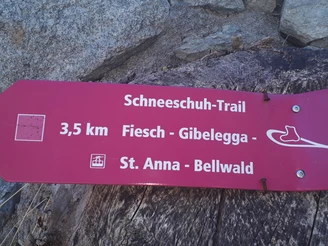 Wegweiser Schneeschuhwanderung Fiesch - Bellwald