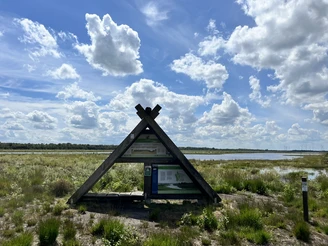 Blick ins Provinzialmoor, Naturschutzgebiet in Twist ©Emsland Tourismus GmbH (1).JPEG