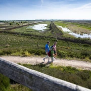 Dalum-Wietmarscher Moor ©TMN GmbH, Sabine Braun Fotografie-114.jpg