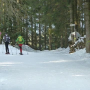 Schneeschuhwanderer am Seibelseckle am Waldrand
