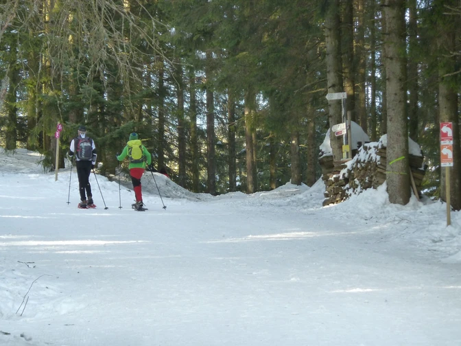 Schneeschuhwanderer am Seibelseckle am Waldrand