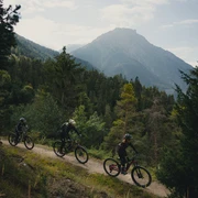 Rosswald Bike