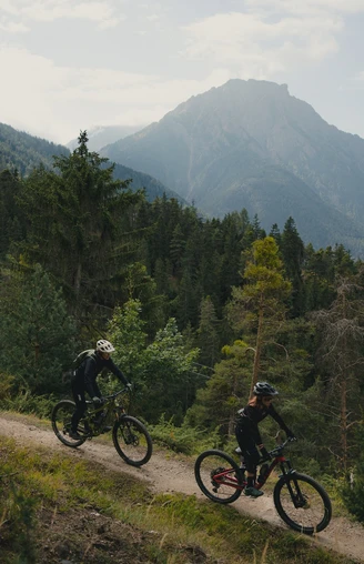 Rosswald Bike