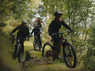 Rosswald Bike