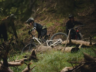 Rosswald Bike